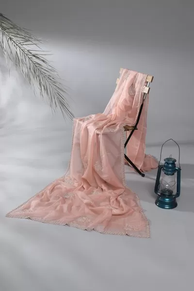 Onion Pink Georgette Saree